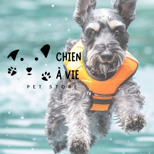 Gilet sauvetage chien, une nécessité pourquoi? - Chien à vie