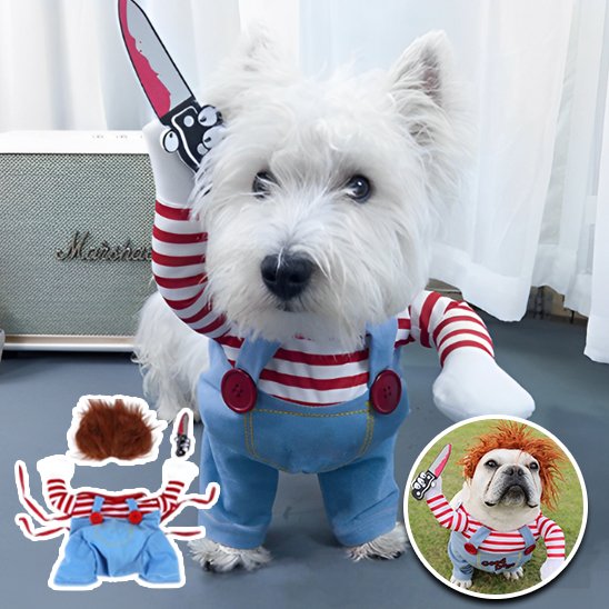 Costume Pour Chien | Mini Chucky™