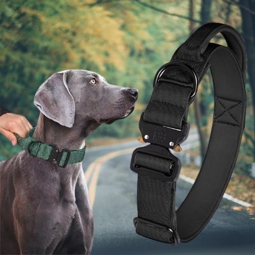 Collier De Dressage Pour Chien | GripPup™ - Chien à vie