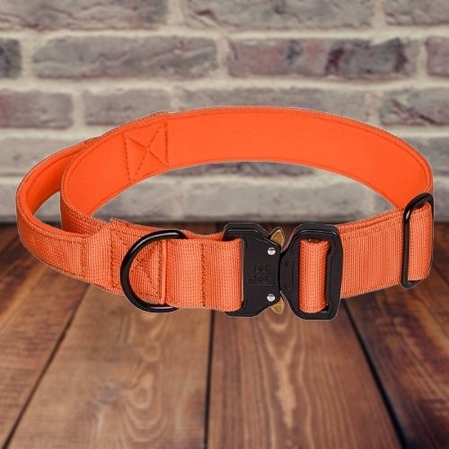 Collier De Dressage Pour Chien | GripPup™ - Chien à vie