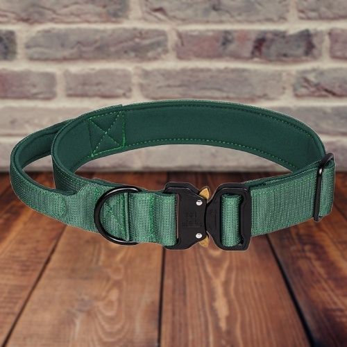 Collier De Dressage Pour Chien | GripPup™ - Chien à vie