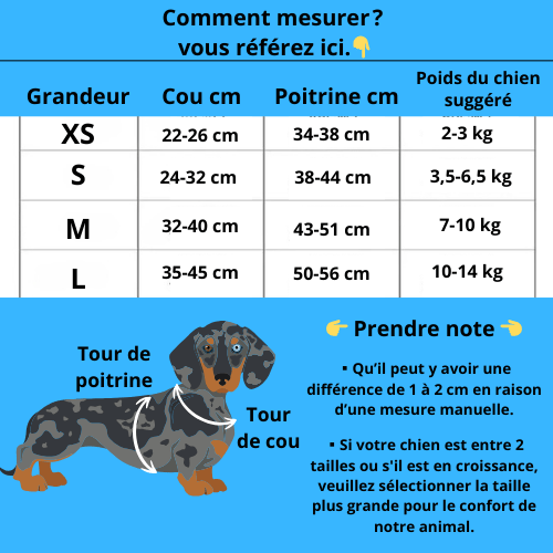 Harnais et Laisse Pour Petit Chien - Chien à vie