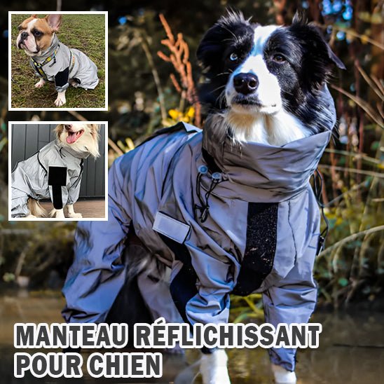 Imperméable pour chien | De Luxe - Chien à vie