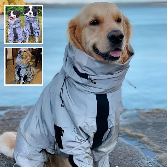 Imperméable pour chien | De Luxe - Chien à vie