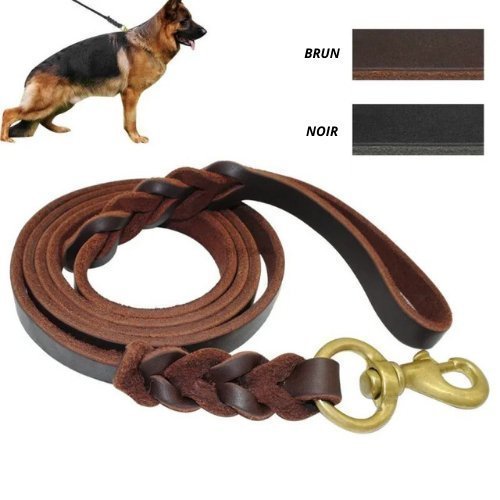 Laisse en Cuir pour Chien - Chien à vie