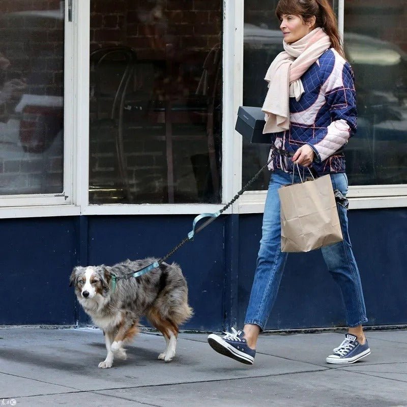 Laisse pour chien | Mains libres - Chien à vie