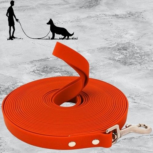 Longe pour Chien | AquaBloc™