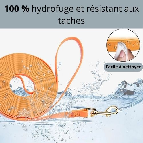 Longe Pour Chien | L'hydrofuge