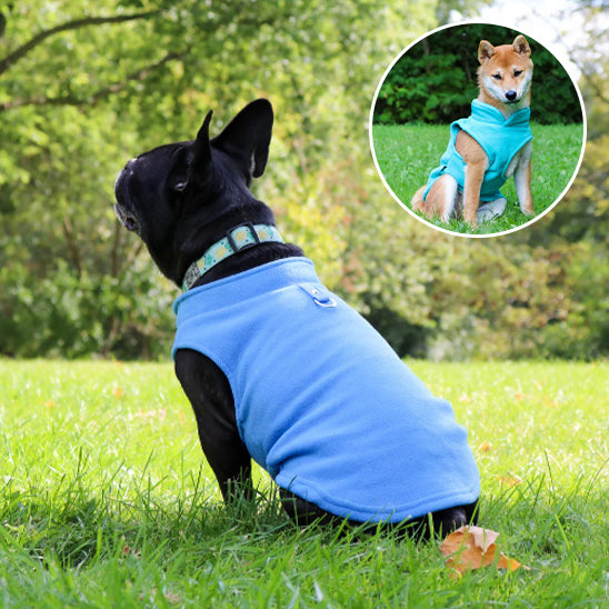 Manteau Pour Chien | Warm Wouf™